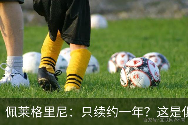 佩莱格里尼：只续约一年？这是俱乐部做出的决定，而我接受了
